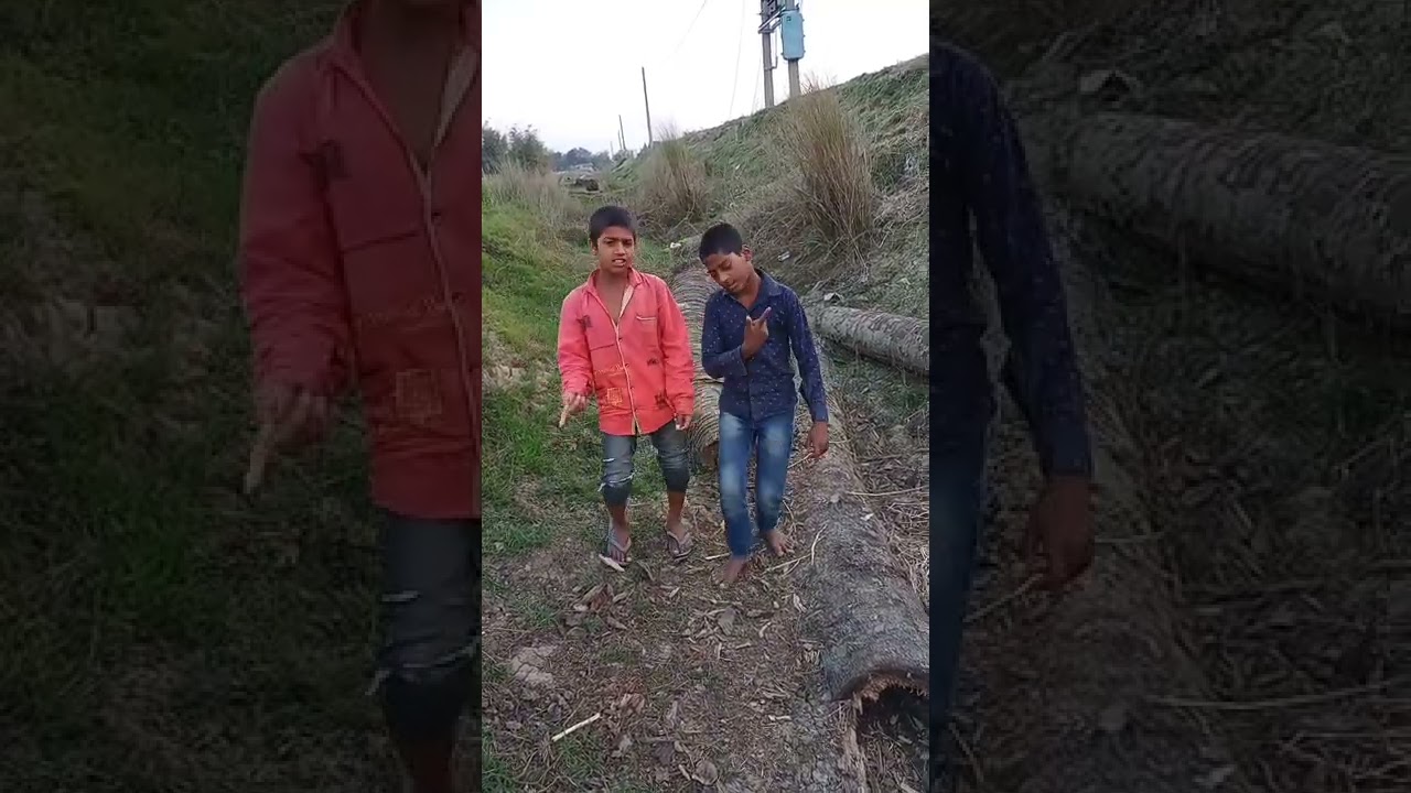 kiye ho bears hot video