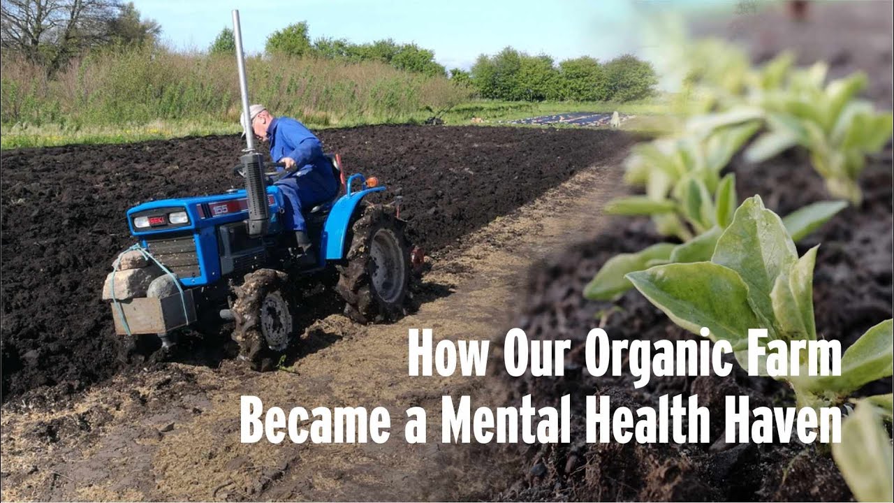 How Organic Farm Became a Mental Health Haven - YouTube