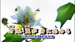 01-042 長崎は今日も雨だった ***鄧麗君 (國語: 淚的小雨) 金嗓 40246