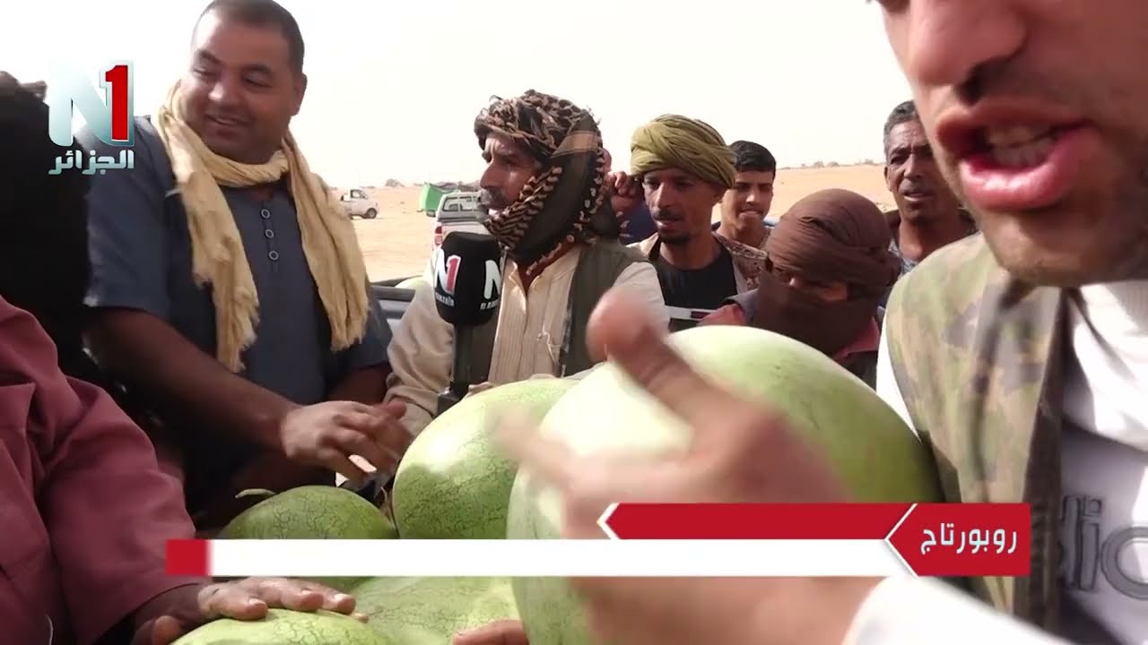 اسعار الدلاع في ولاية ورقلة تثير اندهاش عدسة كاميرا الجزائر أن وان