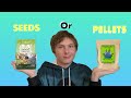 Should YOU feed YOUR BIRD seeds or pellets