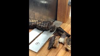 How to make biltong Aussie style using venison