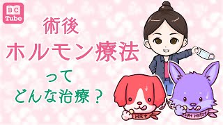 【初期治療の薬】術後ホルモン療法ってどんな治療？【乳腺科医が解説】 《BC Tube：乳癌の専門家による情報発信グループ》