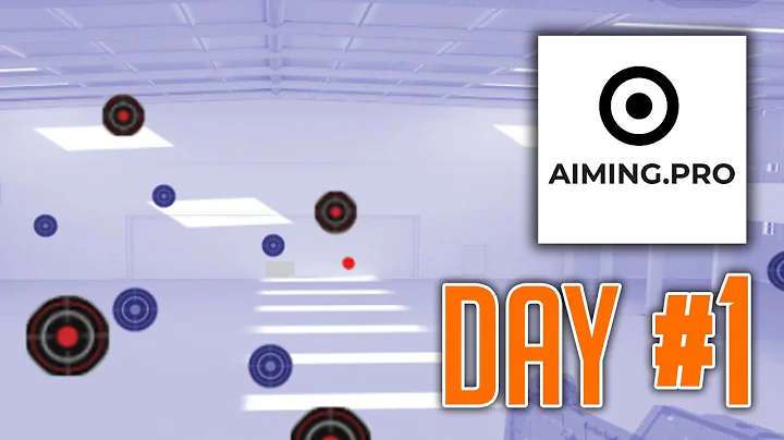 Aiming.Pro Day #1
