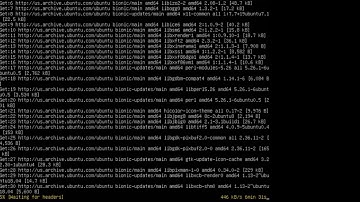 Install DWM (Dynamic Windows Manager) di Ubuntu Minimal 18.04 Bionic Beaver