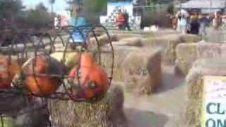 Straw Maze