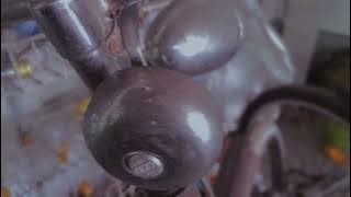 Kring kring. Bicycle bell sound effect