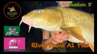 Barbel Fishing River Trent A1Pits (session8) Mainline big river barbel