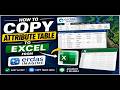 How to copy attribute table to Excel from ERDAS Imagine