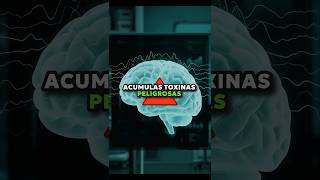 La trampa de tu cerebro Por qué desvelarte se vuelve adictivo