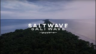 KAMP! - Play Me Dirty | Salt Wave Sessions