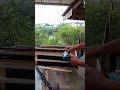 Cara memasang rel laci mudah dan cepat #woodworking #shorts
