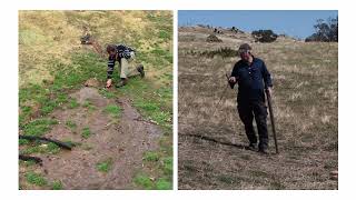Dam maintenance