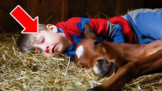 Foal Sleeps With a Child Every Night – Mother Realizes Her Mistake 3 Years Later by Wonderbot Animals 3,657 views 3 weeks ago 10 minutes, 50 seconds