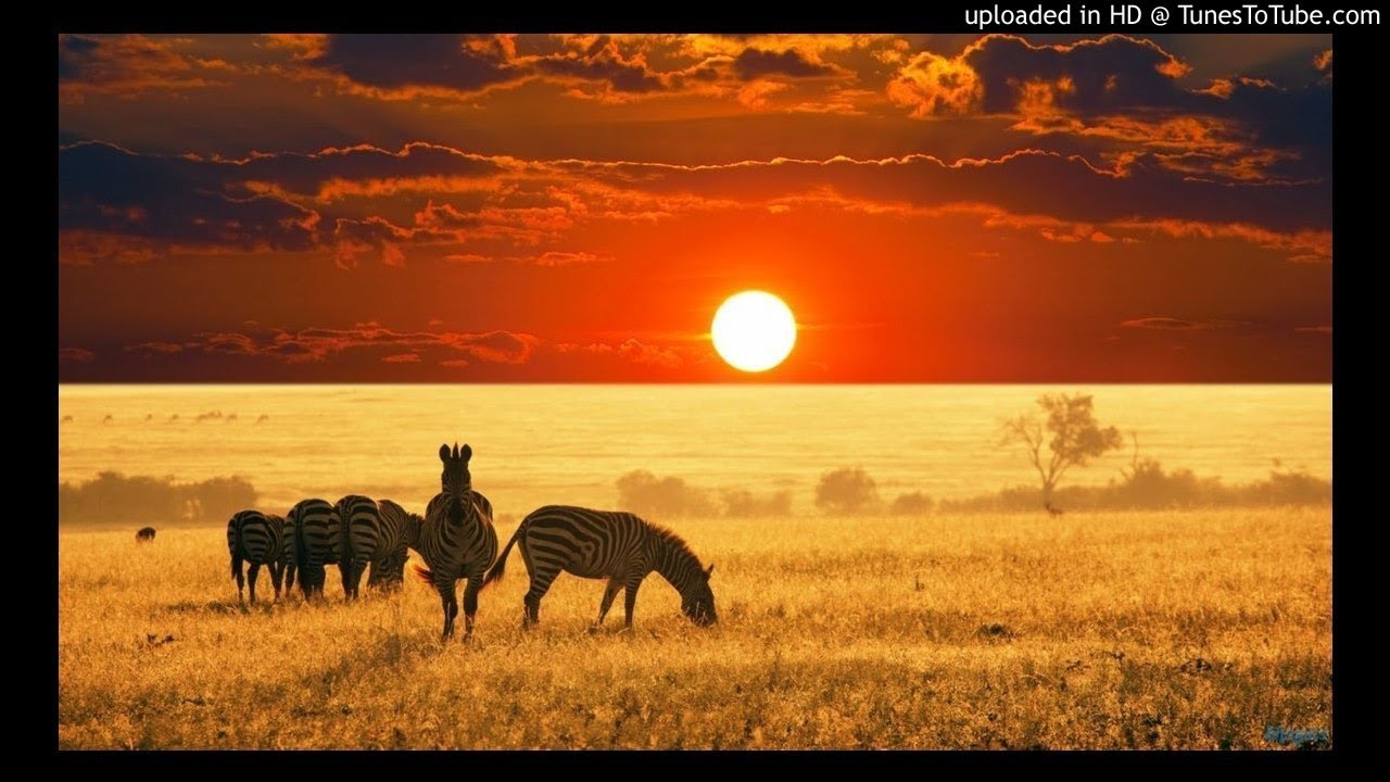 Sun - El Musician  - Akanamali (Mr Style Remix Sgicha Full Version 2017)