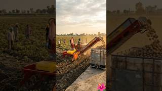 🔥 🚜 Smart Farming: ਰੋਬੋਟਿਕ ਆਲੂ ਪੁੱਟਣ ਵਾਲੀ ਮਸ਼ੀਨ 🥔 | Future Farming #Shorts