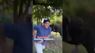 Alguno se le anima 😱