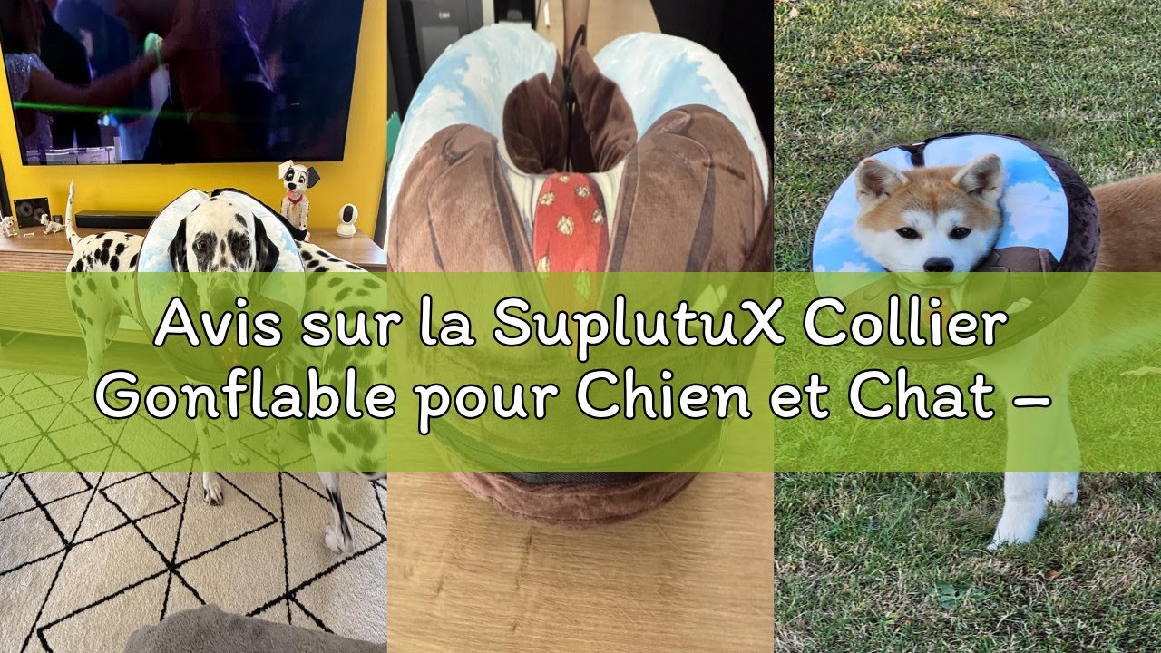 Avis sur la SuplutuX Collier Gonflable pour Chien et Chat – Collerette Confortable Anti-Léchage pour