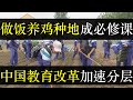 做饭养鸡种地成必修课，中国教育改革加速社会分层。教育部要求中小学添加劳动课，涉及烹饪种地修小家电，或为备战备荒做准备。取消普治分流为误读，中国希望更多年轻人去工厂做工（单口相声嘚啵嘚之中国教育改革）