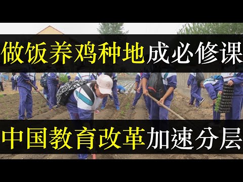 做饭养鸡种地成必修课，中国教育改革加速社会分层。教育部要求中小学添加劳动课，涉及烹饪种地修小家电，或为备战备荒做准备。取消普治分流为误读，中国希望更多年轻人去工厂做工（单口相声嘚啵嘚之中国教育