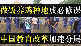 做饭养鸡种地成必修课，中国教育改革加速社会分层。教育部要求中小学添加劳动课，涉及烹饪种地修小家电，或为备战备荒做准备。取消普治分流为误读，中国希望更多年轻人去工厂做工（单口相声嘚啵嘚之中国教育改革）