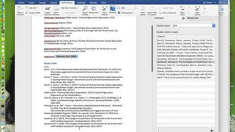 Updating Bibliography in Word