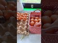 Refill bawang dan telur 😍 #irthappy #fypシ゚viral #videoshort #refillday