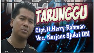 Nurjan Syukri - Tarunggu (Official Music Video)