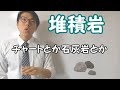 【中学理科】堆積岩～種類分けをはっきりと～ 4-7【中１理科】