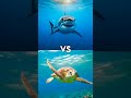 #whaleshark #megalodon #seashark #animals #shark #greatwhiteshark #whale #edit #sealion #whiteshark