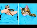 15 CUTE PET HACKS AND CRAFTS