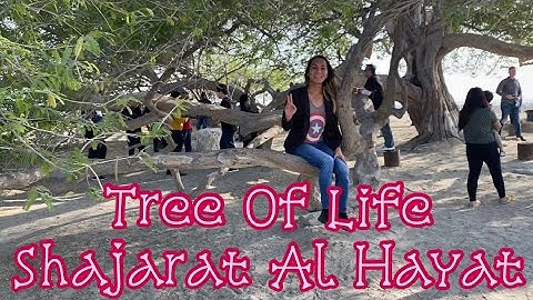 Tree of Life (Shajarat Al Hayat) Bahrain
