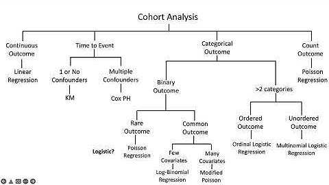 Cohort Study Analysis