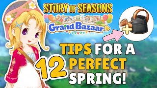 12 Tips & Tricks For An Efficient Start In Story of Seasons: Grand Bazaar