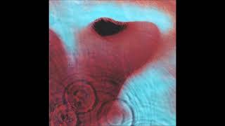 Echoes (No Whale Noises) | Pink Floyd