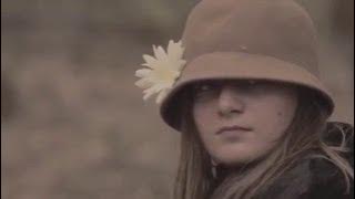 Radical Face - Everything Costs - The Family Tree: The Leaves (Official)