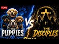THE PUPPIES vs THE DISCIPLES (Nigerian Tournament Grand finals!)
