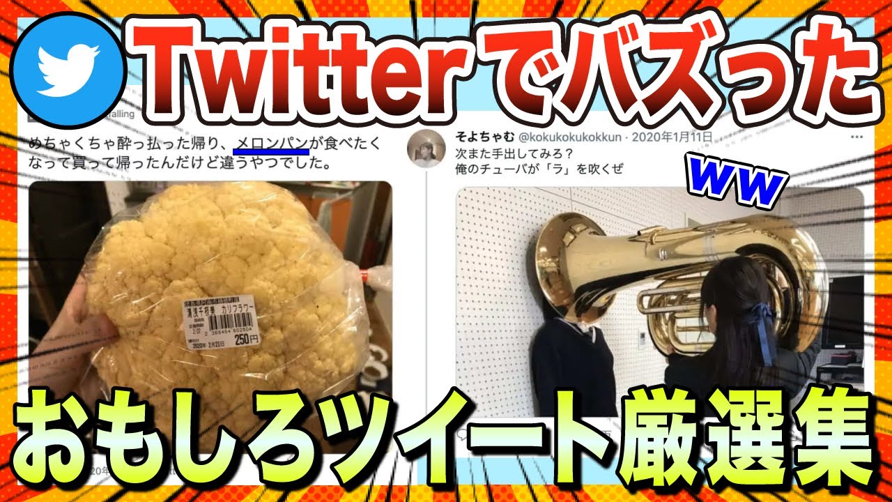 【🔥爆笑】Twitterでバズった面白ツイート厳選集www【ゆっくり解説】【コメ付き】【2chスレ】
