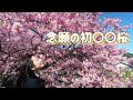 今話題のあの場所へ早速行って来ました🌸