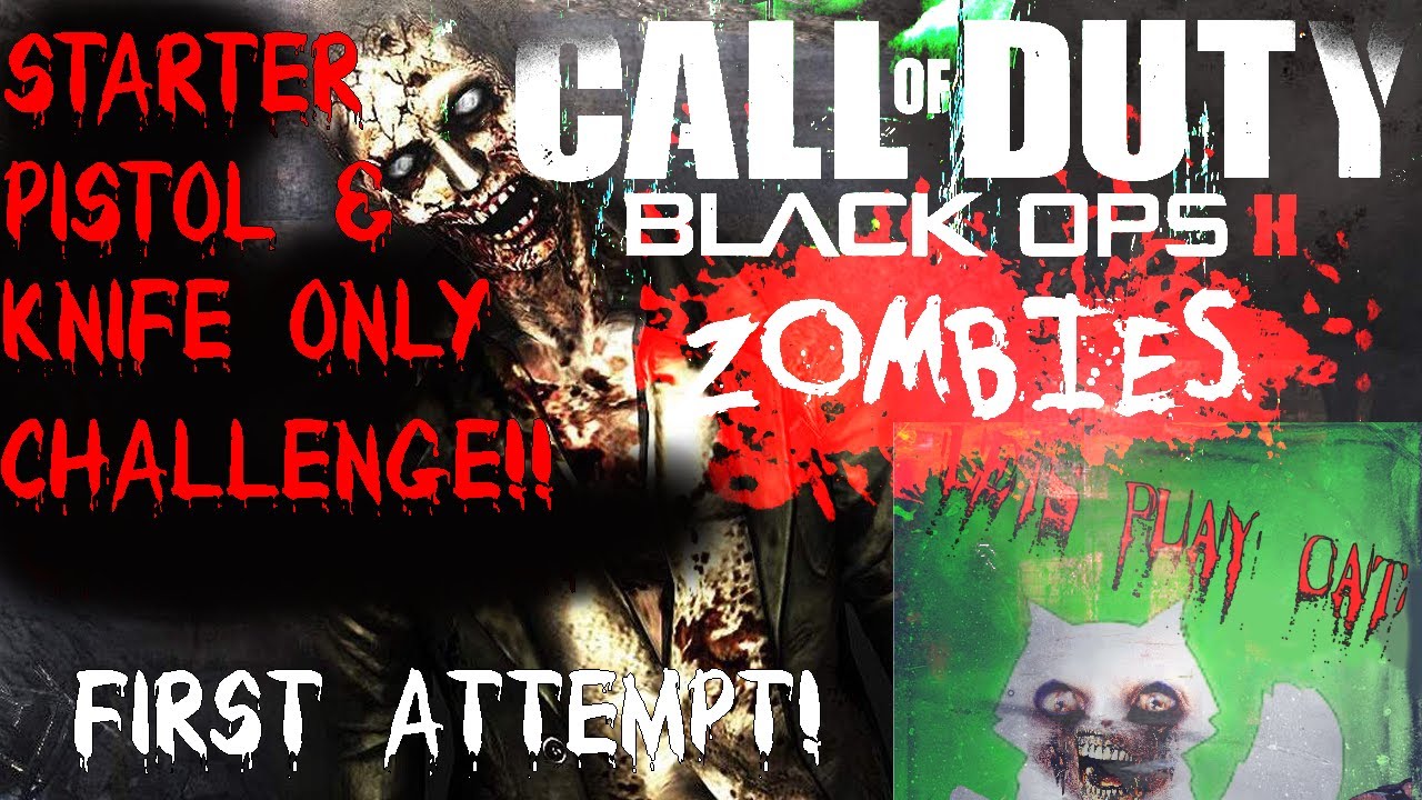 Call Of Duty Black Ops 2 Starter Pistol & Knife Only Zombies