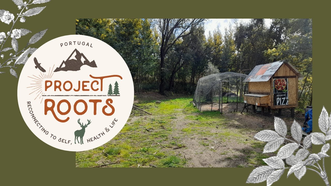 Project Roots Project Roots - A Few More Steps In Being More Sustainable... - YouTube