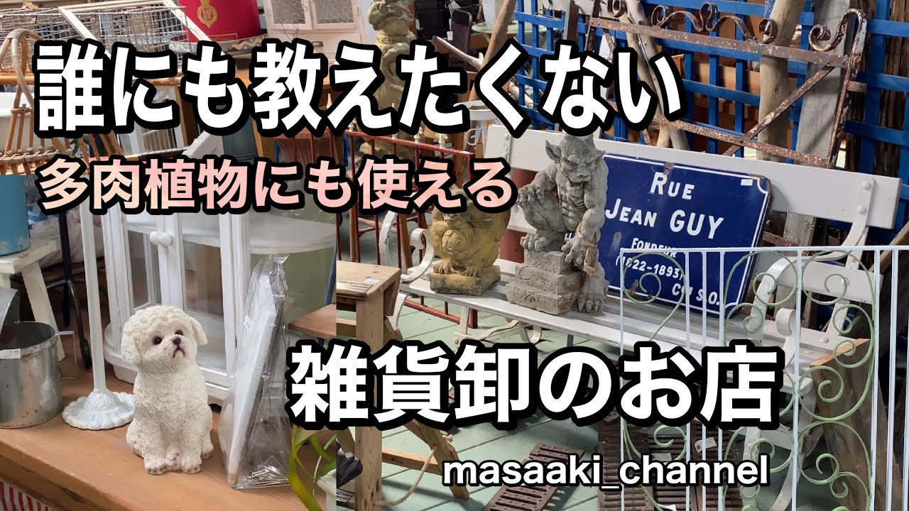 【ガーデニングDIY】ここだけの話し…多肉植物に使える雑貨の問屋さんと…