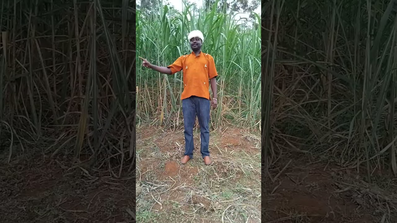 mwendia rùhiù ndarì ciana amu nì cia mùthuri ùrìa ùracìirie nyina