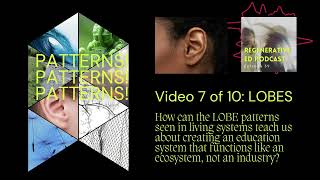 (7/10) Lobes Pattern: Apply the Edge Effect & Reimagine School Structures for Regenerative Education