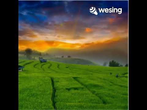 หนุ่มนานครพนม[ดนตรีจ๊วด] cover by wit