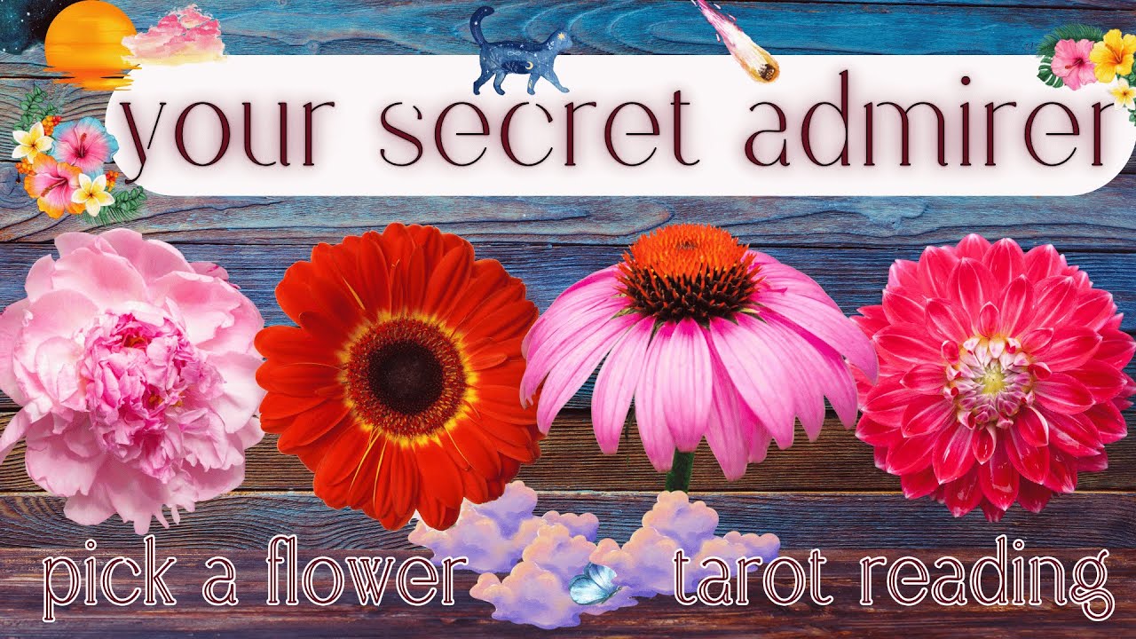 Who Has A Secret Crush On You? Their Next Move? What's Next?🌹| Pick A Card Tarot Reading For Love
