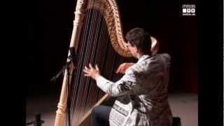 Michal Matejcik - Depeche Mode- Never Let Me Down Again - Harp & Beat Remix - Harp Tribute 2012