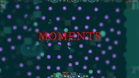 The Moments Of Starve.io