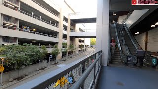 Bronx Walk NYC  - E  167 St  & Walton Ave intr.  to River Ave & Bronx Terminal Market