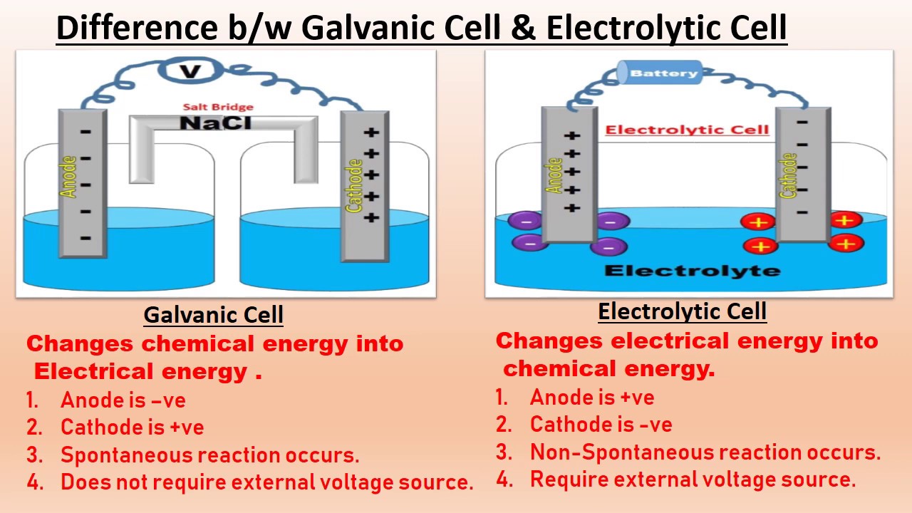 Their cell. Galvanic Cell cathode and Anode. Electrochemical Cell. Electrolytic Cell. Difference between Galvanic Cell and Daniell Cell.